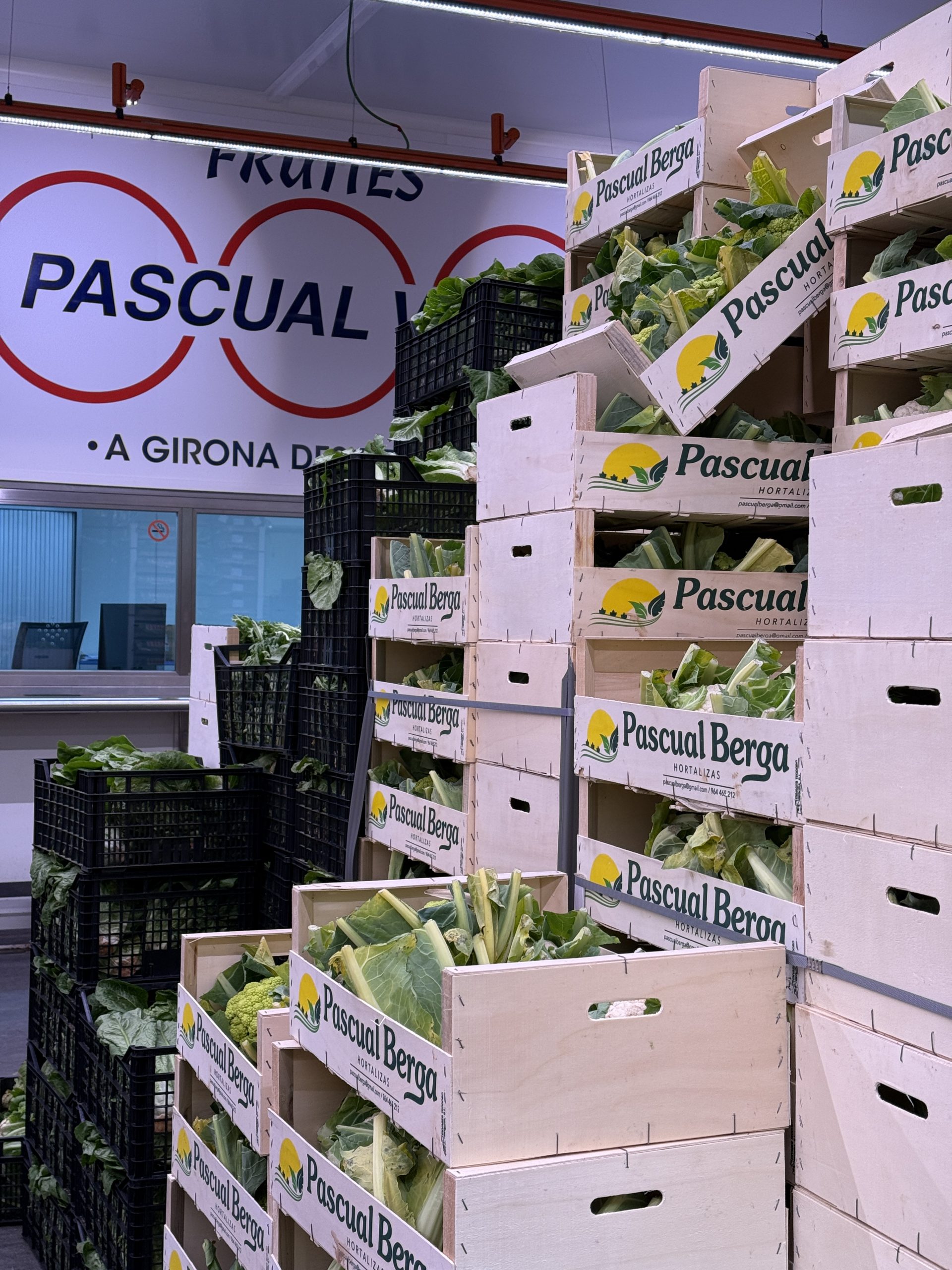 Vista 3 del proyecto FruitesPascualVidal